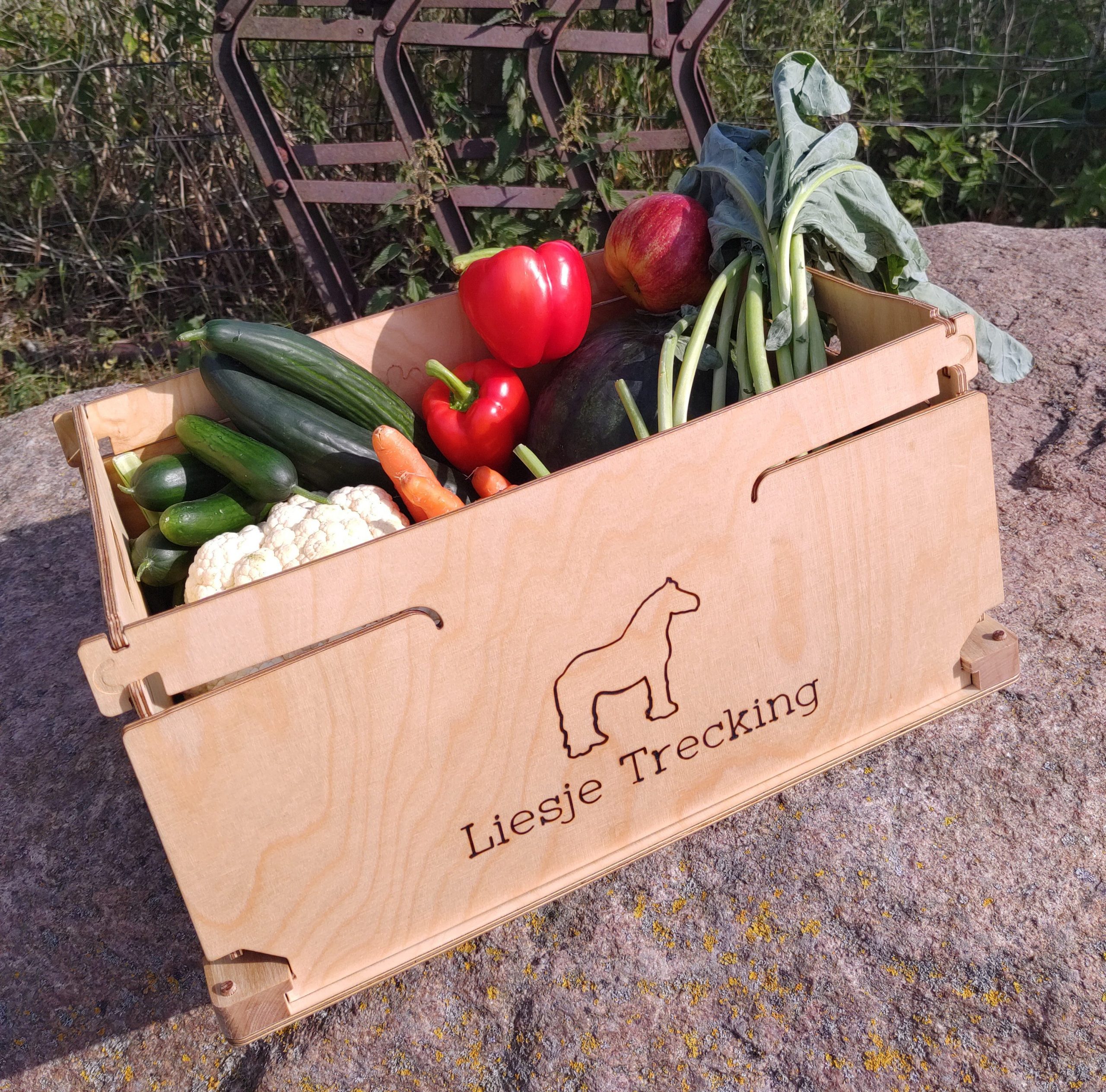 Mit Gemüse gefüllte Einkaufskiste FridayBOX 